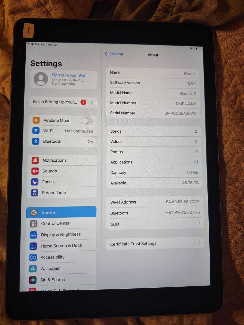 Apple iPad Air 2 in Black and White Display
